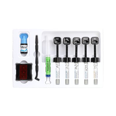 EsCom250 System Kit